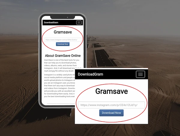 gramsave - input box