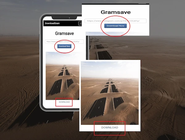 gramsave - instagram downloader