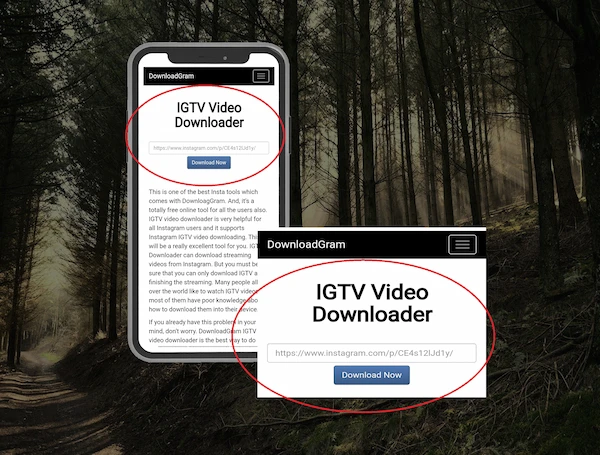 IGTV downloader input box